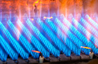 Glyn Etwy gas fired boilers